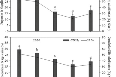 Subsurface placement of controlled-release blended fertilizers mitigates ammonia volatilization by promoting nitrogen transformation in rice fields