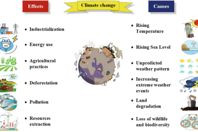 Impacts of climate change on nutritional quality of fruit crops
