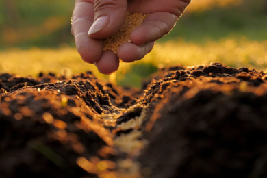 From waste to resource: how livestock manure can help to close Europe's nutrient loop