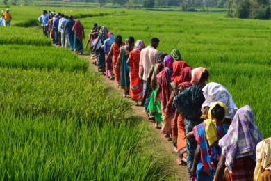 Can climate finance deliver more equitable rice systems?