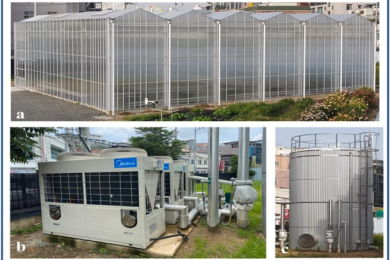 Enhancing sustainable and climate-resilient agriculture: Optimization of greenhouse energy consumption through microgrid systems utilizing advanced meta-heuristic algorithms