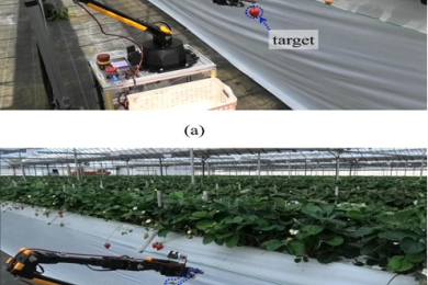 Autonomous navigation method for agricultural robots in high-bed cultivation environments